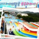 한창대중탕 Daum카페