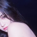 고혹 티스토리