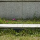 안양시청.시의회청사 이미지