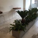 딸기당구장 이미지