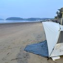 롯데프레시안산성곡점 | [후기]태안 몽산포해수욕장 저녁에서 새벽까지 해루질 후기/준비물_해지고 조개잡이 갯벌체험_몽산포...