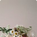 해도한정식 이미지