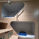 펫배요 | 강아지 제주도 배 가격 펫룸