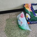 성철슈퍼 이미지