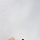 루나플로르