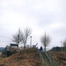 평화정비 | 화천 살랑교 평화로운 강변산책로 풍경 후기