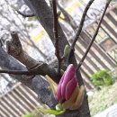 휴먼시아우리공인중개사사무소 네이버블로그