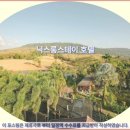 여행객 | 카오야이 닉스롱스테이 호텔 추천 후기: 여행객 사로잡는 매력