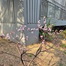 교육로 66번길 이미지