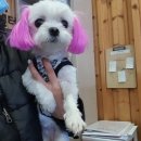 홈마트 이미지
