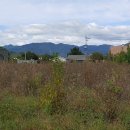 강남로(남) 이미지