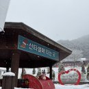 분천역 산타마을에서 협곡열차 타기 추천방향!!(약간 실패후기..)