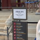 대목장 | 경복궁 야간개장 내돈내산 후기 +예매 없이 입장하는 방법 공유 및 시간대별 뷰 첨부