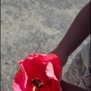 삶 - 그 언저리 이미지