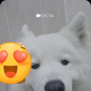 겨울나는나비동물병원 이미지