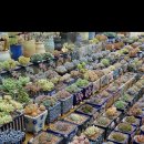 지현이네 이미지