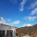 별빛농장 네이버블로그
