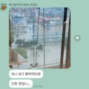 예스게임랜드 | ♡‧₊˚ 바람과 함께한 부산 1박2일₊˚⊹♡