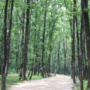 융릉ㆍ건릉 이미지