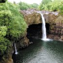 커피푸(coffee Pu) 이미지