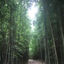 (유)구룡 이미지