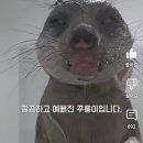 행복유황사우나 | &#34;지는 거에요?&#34; &#34;이겨.&#34;