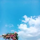 디자인매건 이미지