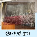 동호로 | 생일 호캉스로 방문한 서울 신라호텔 객실 수영장 사우나 베어 등 후기