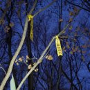 토지초등학교연곡분교장 이미지