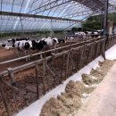 소이목장 이미지