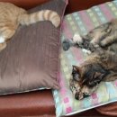 엄마와아들 이미지