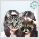 우리동네택배왕 | 2026 6ver.