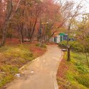 홍련봉공원 이미지