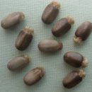 2030 대담한 도전 이미지