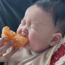 정금이네김밥 | [6개월아기]사주아이/큐브데이/홈앤힐토라