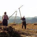 가락2리 이미지