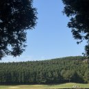 나인브릿지 퍼블릭(대중형6홀) | [제주숙소] 나인브릿지 CC 숙박 이용 후기 : 회원제 골프장 숙소