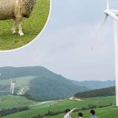 신기목장 이미지