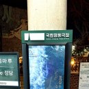 주연수선 - 용인시 기흥구 서천서로12번길 8 | 주연수선