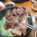 서래옥설렁탕