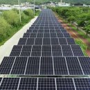 무성햇빛발전소 이미지