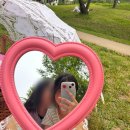 충무도서관 독서동아리 다독다독 | 여름이 다 가기 전에 소설 읽기