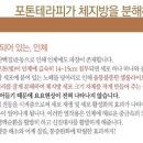 새빛테라피