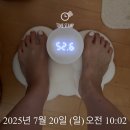 리즈동물병원 | 커플 위고비 한달 ~ 두달 후기 &amp; 체중변화 (158cm, 173cm)