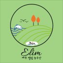 엘림공부방 - 성북구 돌곶이로22길 34 | 제주농수산 로고제작 후기