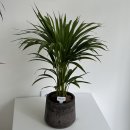 수성카인테리어 이미지