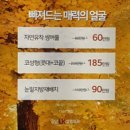 LK성형외과의원 이미지