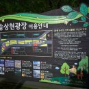 송상현 광장 동상 맞은편 | 송상현광장 2569 부산연등회