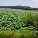 마곡현대2차(아) 이미지