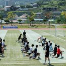 강남-173 이미지